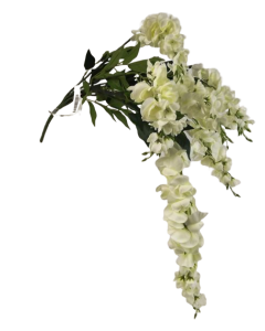 80cm Cream Wisteria Bush