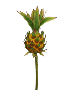 50cm Pineapple Pick Yellow