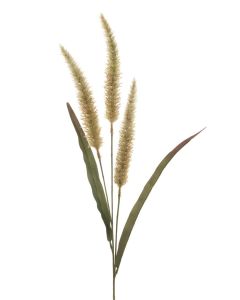 Antique Fountain Grass 94cm
