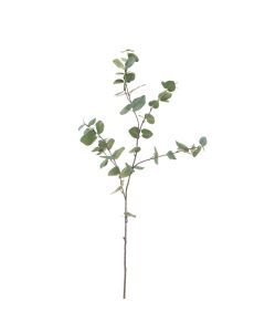Eucalyptus Spray 96cm