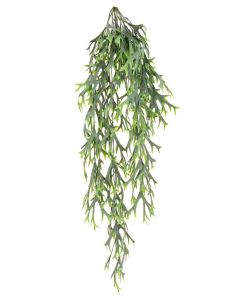 UV Citronella Hanging Bush