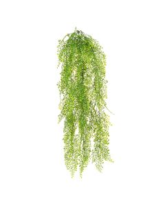 UV Hanging Maidenhair Fern