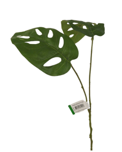 Monkey Leaf Spray 50cm