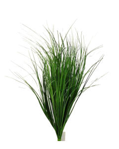 Dune Grass Bunch 67cm