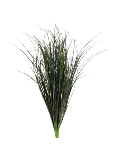 68cm Bear Grass Bush