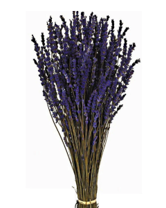 Preserved Lavender Bunch 150g