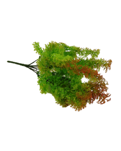 Fish Grass Bush 35cm