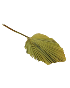 Kingspear Natural