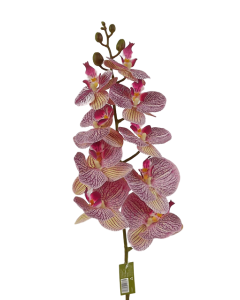 100cm Phalaenopsis Orchid Spray Red