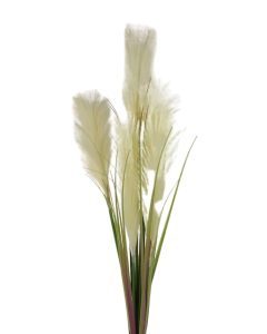 94cm Pampas Bush