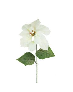 Velvet Poinsettia 75cm White