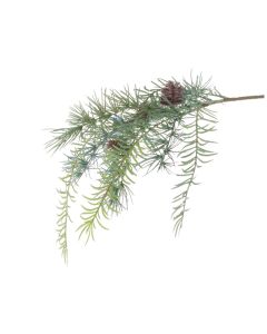 Cedar Asparagus Spray 51cm