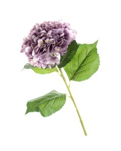 Single Hydrangea 82cm Light Violet