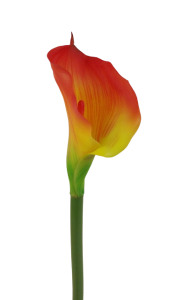 Real Touch Calla Lily 68cm Red/Yellow