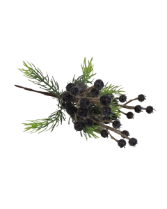 22cm Blue Berry Pick