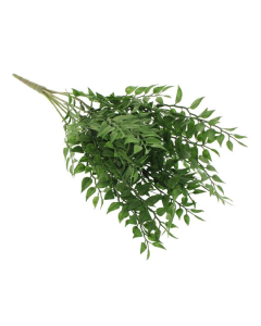 46cm Huckleberry Plant Green