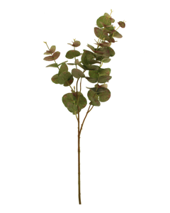 100cm Eucalyptus Green/Red