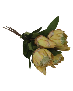 53cm Protea Bundle Natural