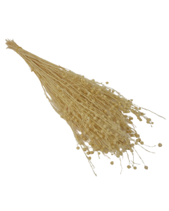 Flax Bleached x 100g