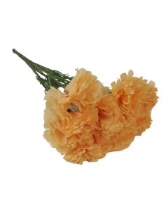 Bloom Carnations x 12 Stems Peach