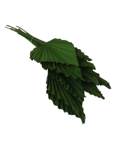 Palm Spear Green x 10pcs