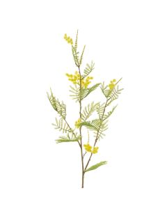 Mimosa Spray 87cm