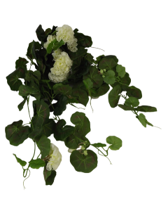 Geranium Bush Vines Cream