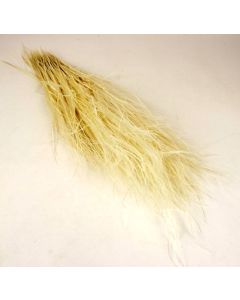Stypa Pennata - White 75g 40 - 60cm