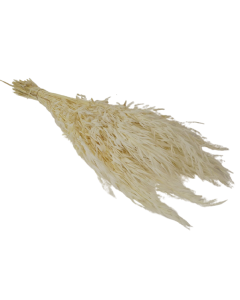 Avena Salvaje White x 200g