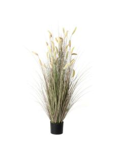Artificial Pampas Bush - Brown/Green (145cm tall)