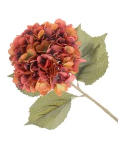 Single Hydrangea - Burnt Orange (19cm diameter, 82cm long)