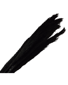 Cana Silvestre - Black x 6pcs