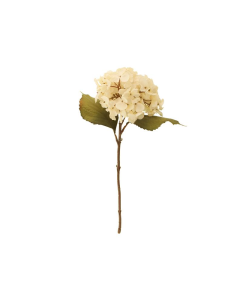 46cm Dried Look Hydrangea Single Cream