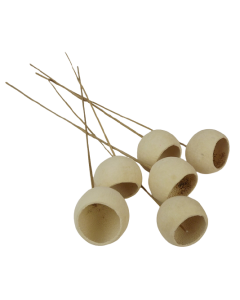 50cm Bell Cup Stem White