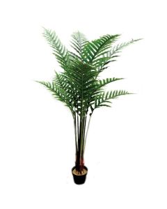 Parlour Palm Tree W/Pot 180cm