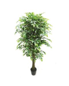 Real Touch Potted Ficus Green 180cm