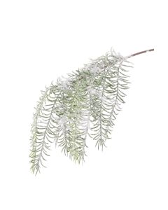 Snowy Asparagus Spray 58cm