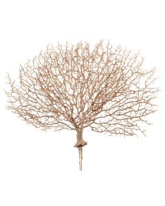 50cm Glittered Coral Pick Pink
