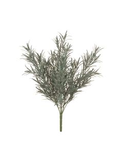 Podocarpus Bush 44cm UV Protected