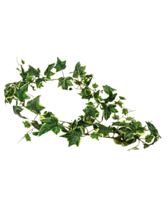 Variegated Ivy Garland 152cm UV Protected
