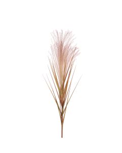 Reed Spray 77cm Brown