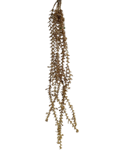 Asparagus W/Gold Glitter 80cm