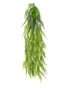 Hanging Fern Bush UV Protected