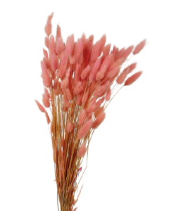 Lagarus/Bunny Tails Light Pink 50g