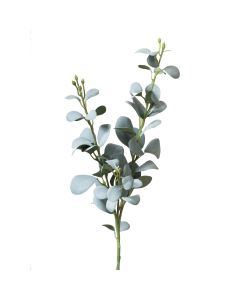 ECO Eucalyptus Stem Green/Grey 57cm