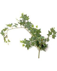 Ivy Bush Green 85cm Long