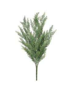 Exterior Everlast 48cm Helichrysum Plant U.V