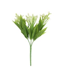 White Stephanotis Bush