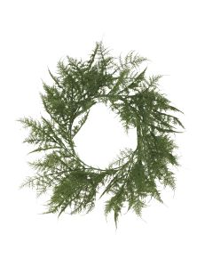 Asparagus Fern wreath 60cm