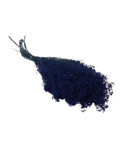 Preserved Broom Bloom - Blue